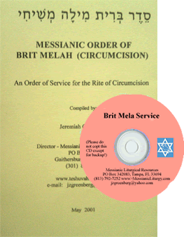 Brit Melah Service (Circumcision) image 0